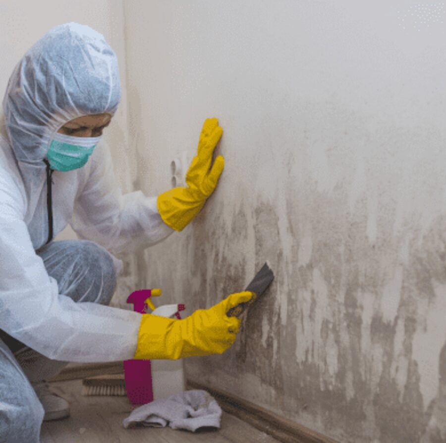 Mold remediation work in progress