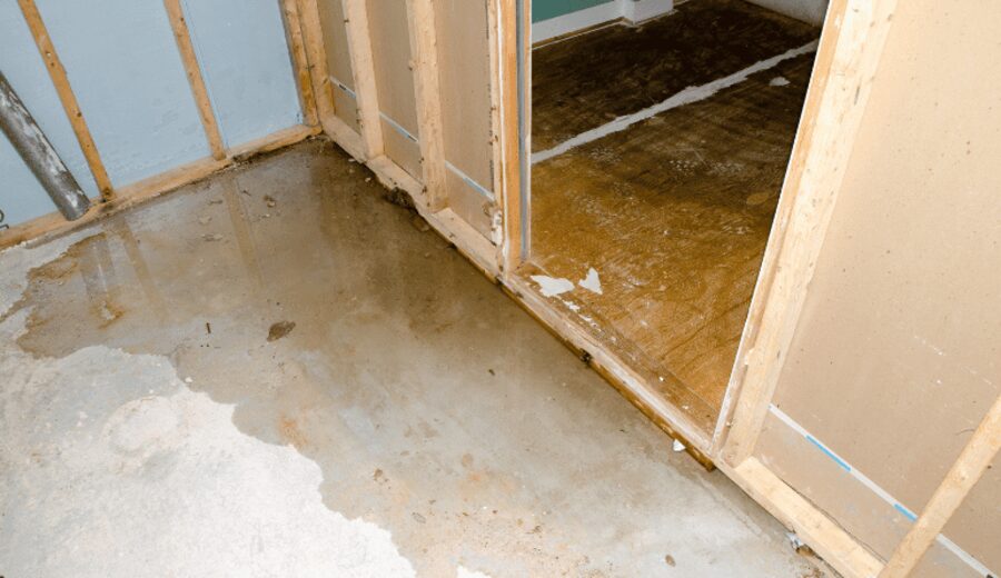 Room stripped to the studs after water intrusion